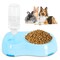 Anypet Slow Feeder Bowl, Elevated, Double Transparent for Cats, Small Dogs APF06B - alternate 3